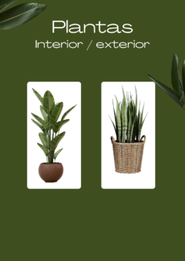 Plantas interior/ exterior